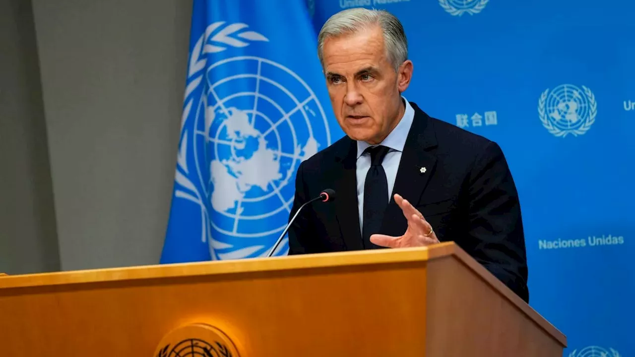 Beyond the 51st State Rhetoric: Carney’s High-Stakes Risk Management