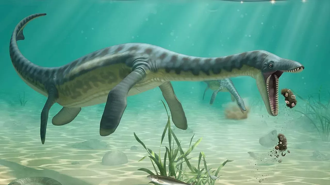 160-Million-Year-Old 'Piles of Sick' Reveal Jurassic Predator Secrets