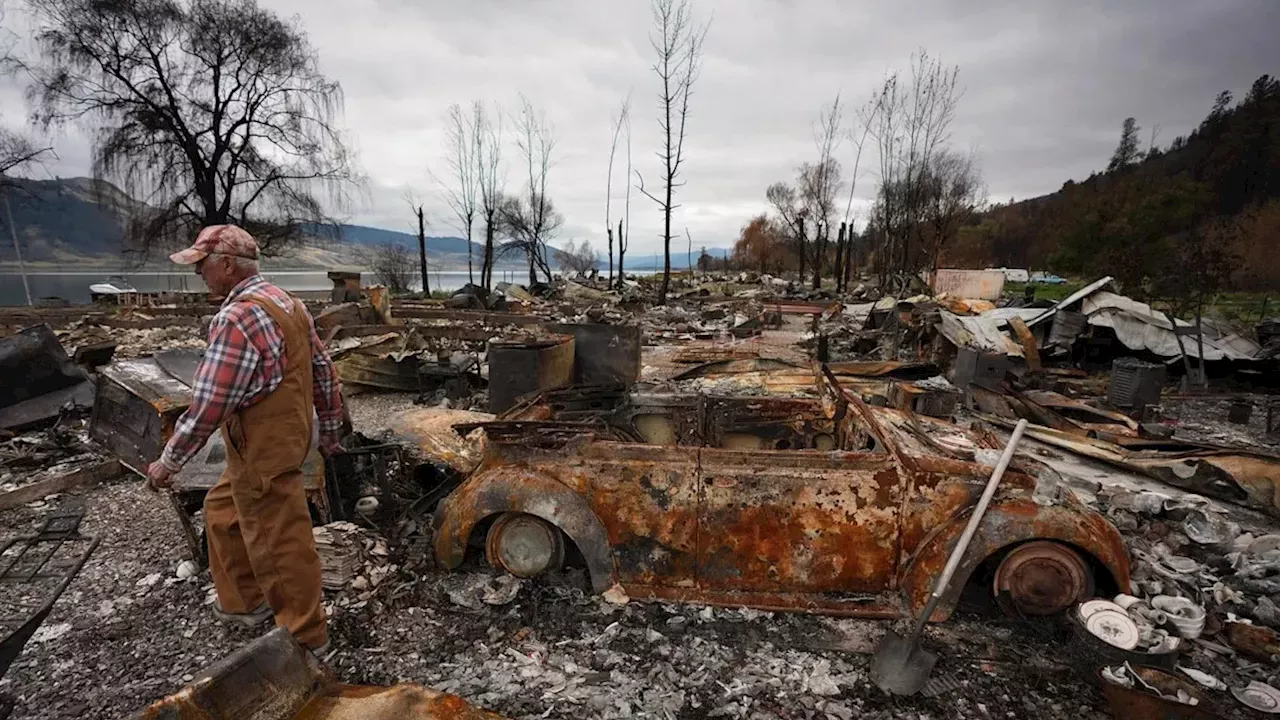 The Toxic Aftermath of the 2026 Okanagan Fires: A Community in Ruins