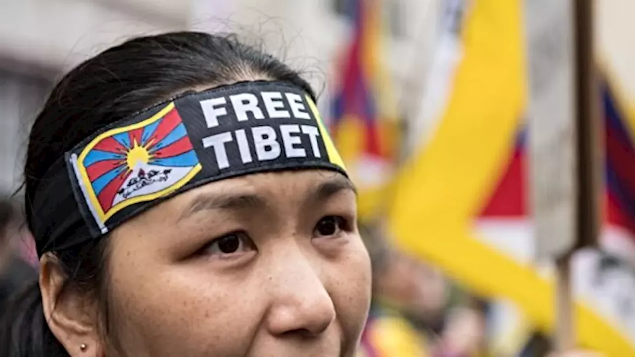 Violence in Washington, DC: Pro-Tibetan Activists Attacked During Xi Jinping Protest