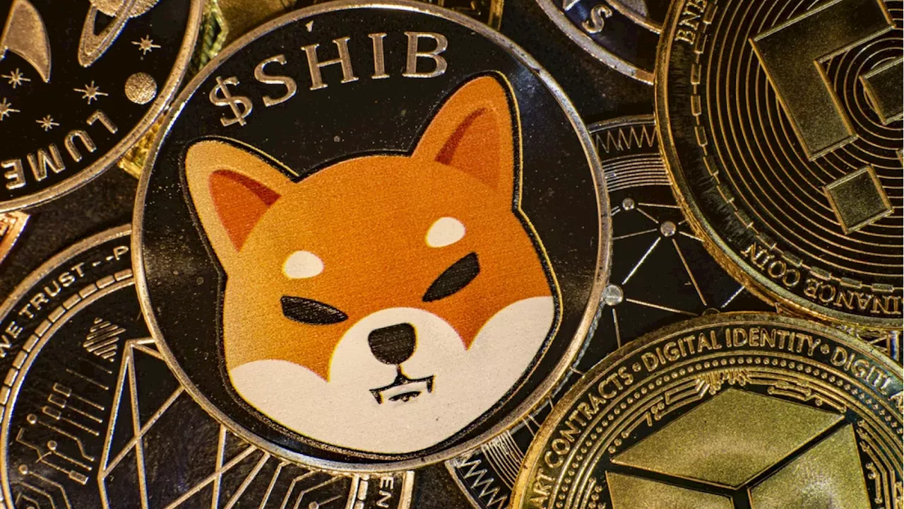 Shiba Inu's High-Stakes Breakout: Can SHIB Overcome Rising Exchange Inflows?