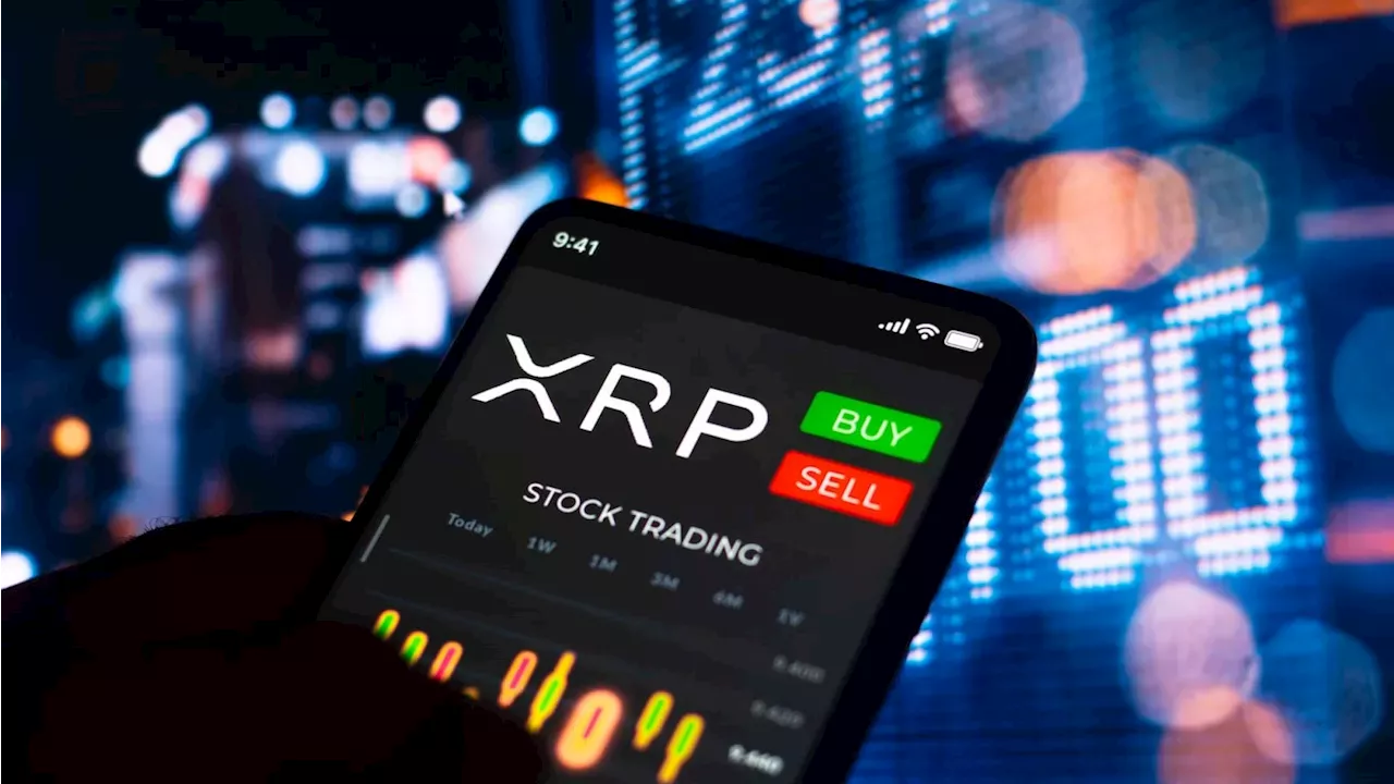 Seoul Outpaces New York: The $224M XRP Liquidity Shift
