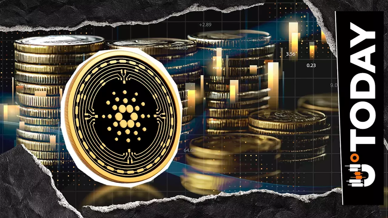 Cardano's Mesmo Library Breaks the JVM Barrier for Developers