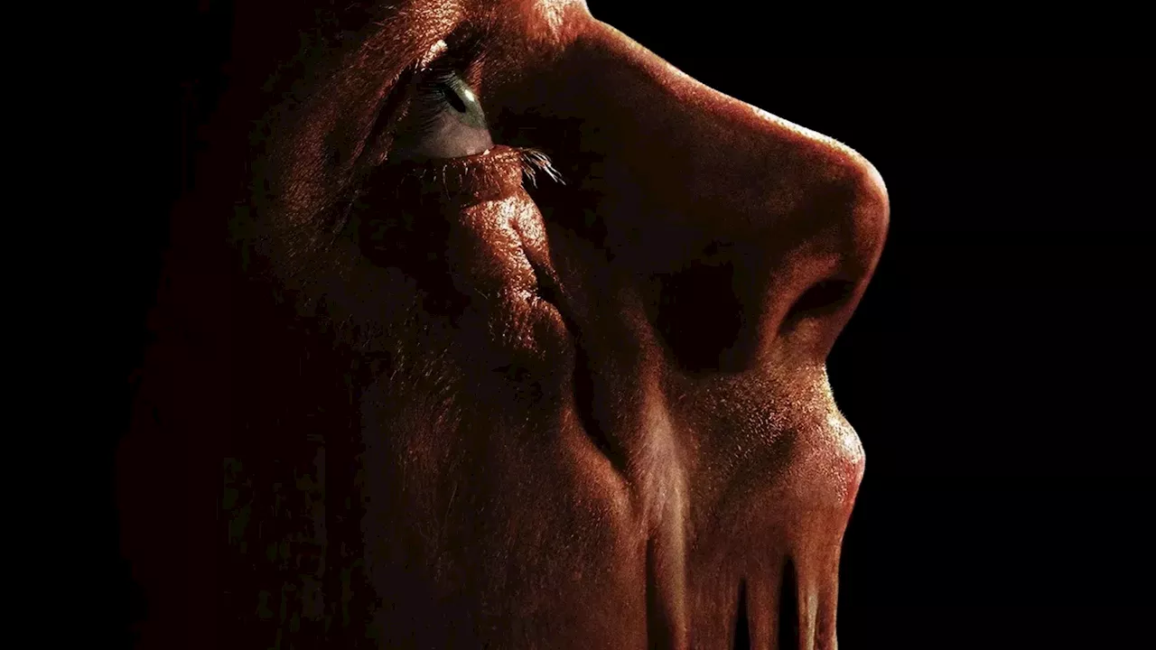 DCU's First R-Rated Horror Film: A Bloody Pivot for James Gunn's Universe