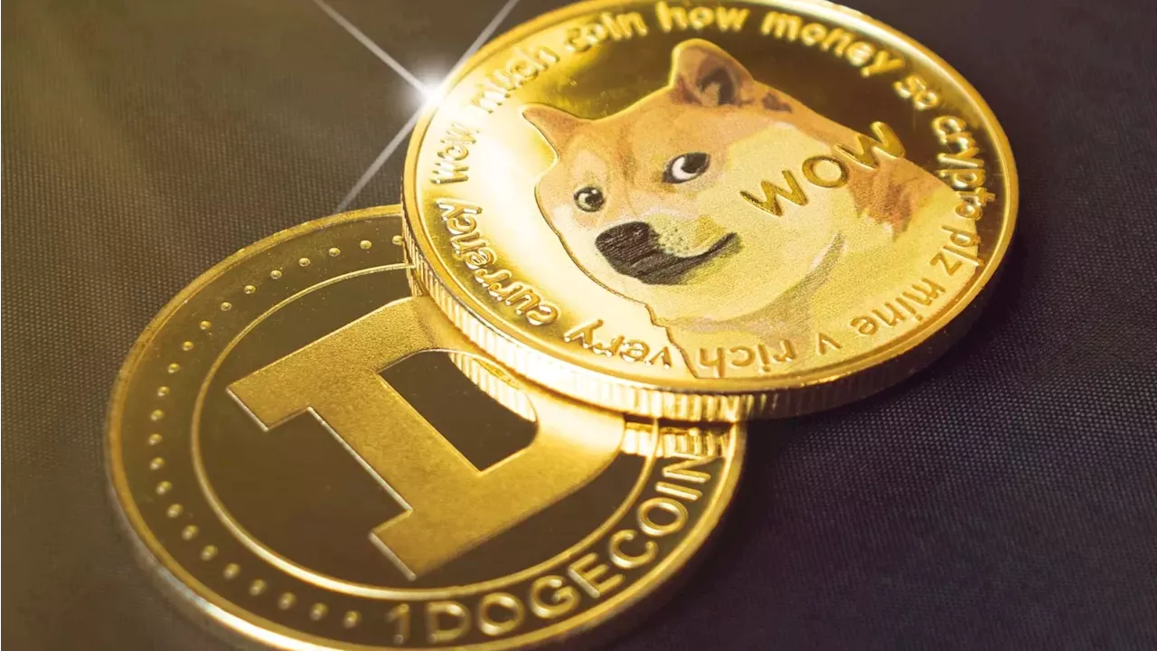 Dogecoin's Deep Discount: Can a Musk 'Lol' Trigger a Q4 Rally?