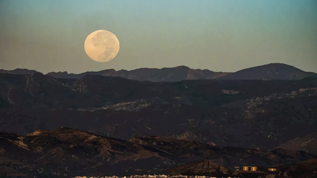 Los Angeles Prepares for a Cultural Surge Alongside the 2026 Harvest Moon
