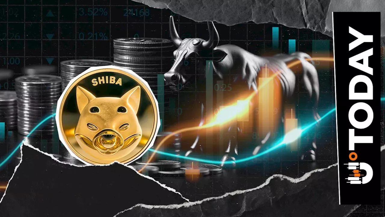SHIB's 74 Billion Token Exodus: A Bullish Signal Amid Market Sell Pressure