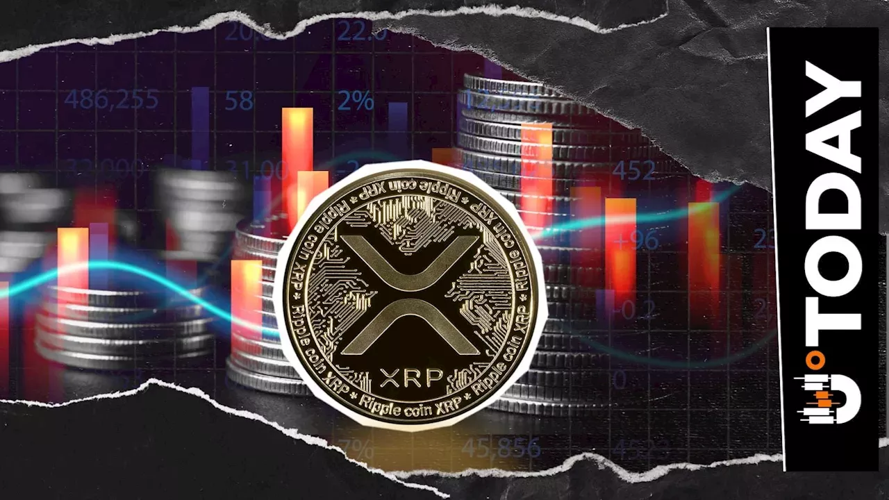 The $610 Million Crypto Wipeout: XRP’s Bullish Surge Meets Macro Reality