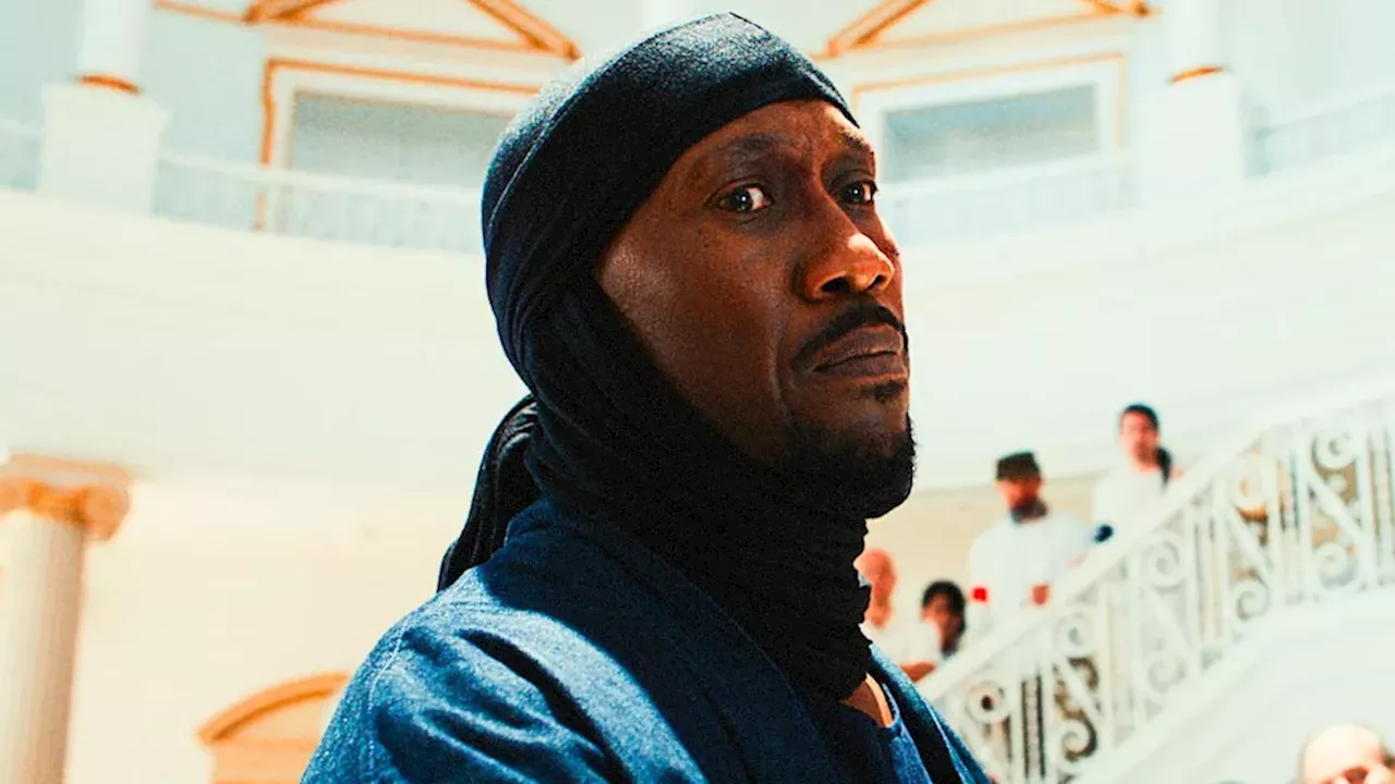 Mahershala Ali’s New Noir: Faith, Fatherhood, and the Blade