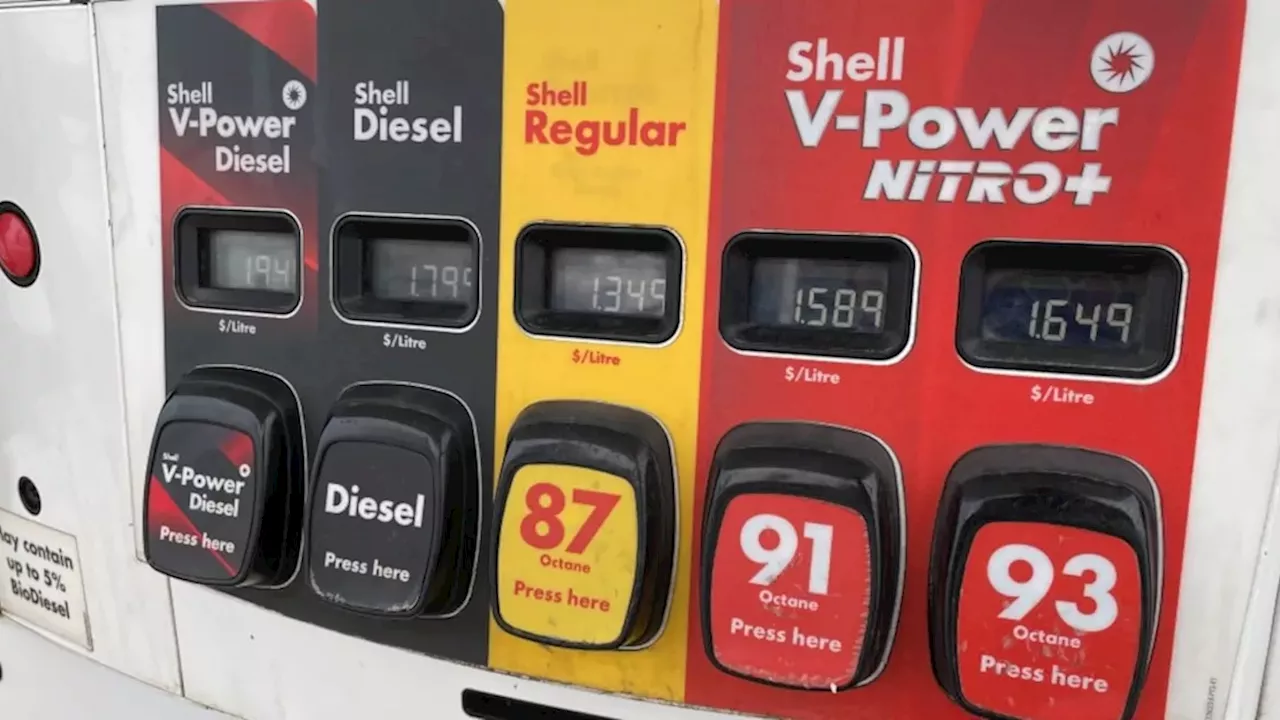 Alberta's High-Stakes Week: Fuel Relief, Referendum Costs, and Social Tension in Edmonton