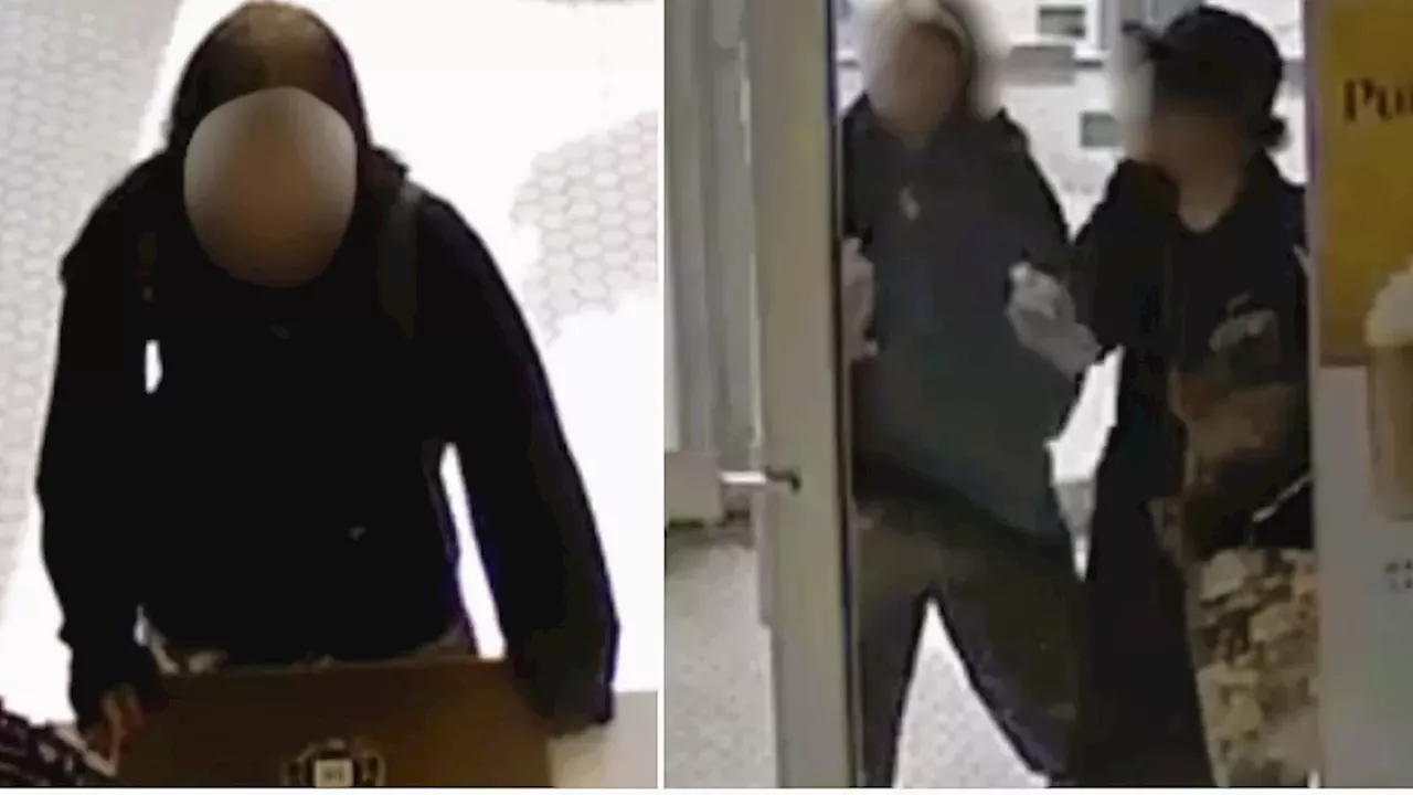 Calgary Police Search for Youth Suspects Following 17 Avenue S.W. Assault