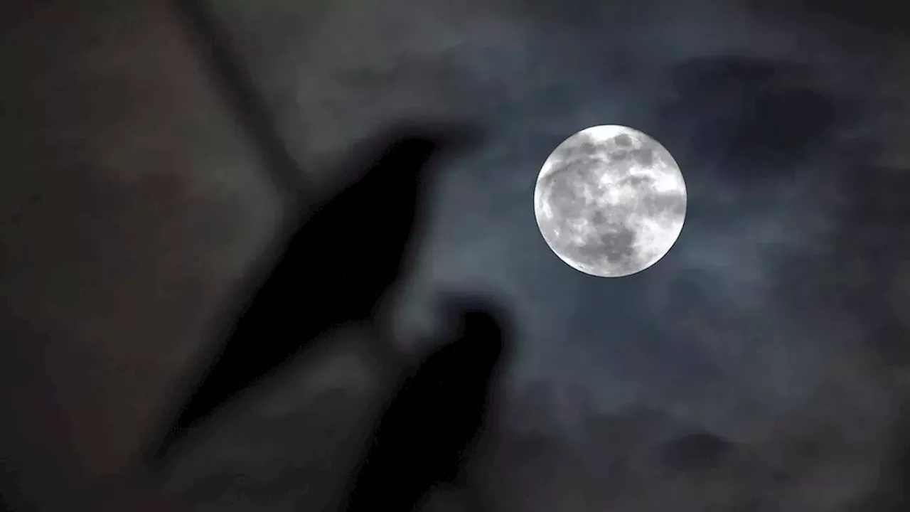 Saturn and the Harvest Moon: A Celestial Alignment for Autumn