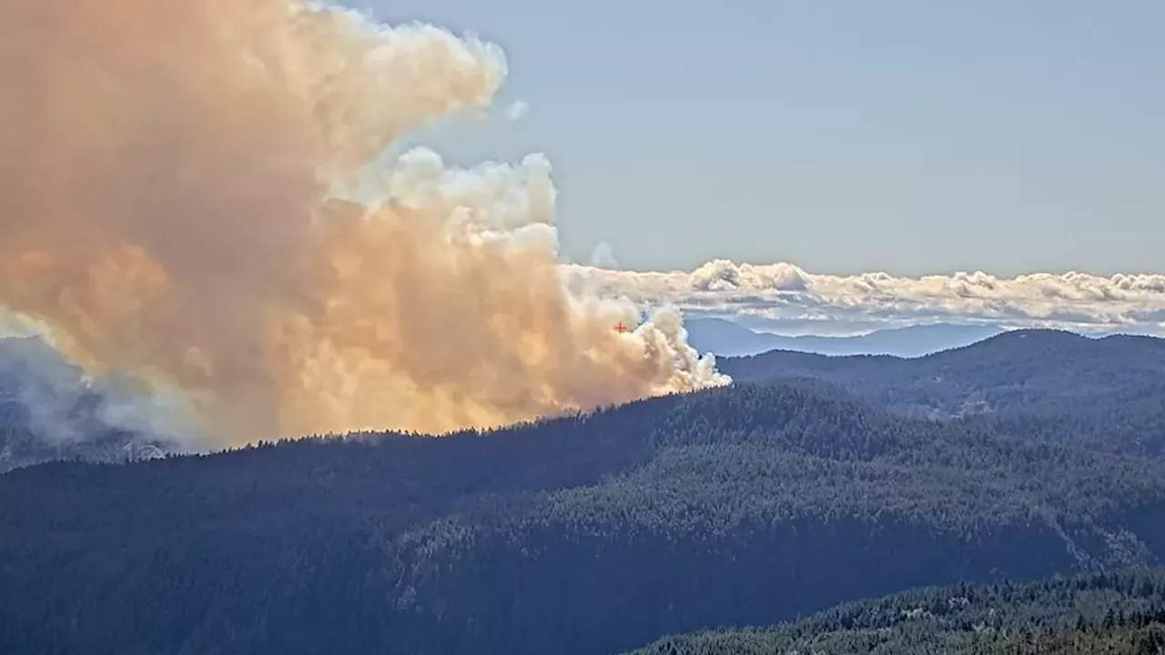 Mount Jack Wildfire Near Sooke Burns Out of Control at 276 Hectares