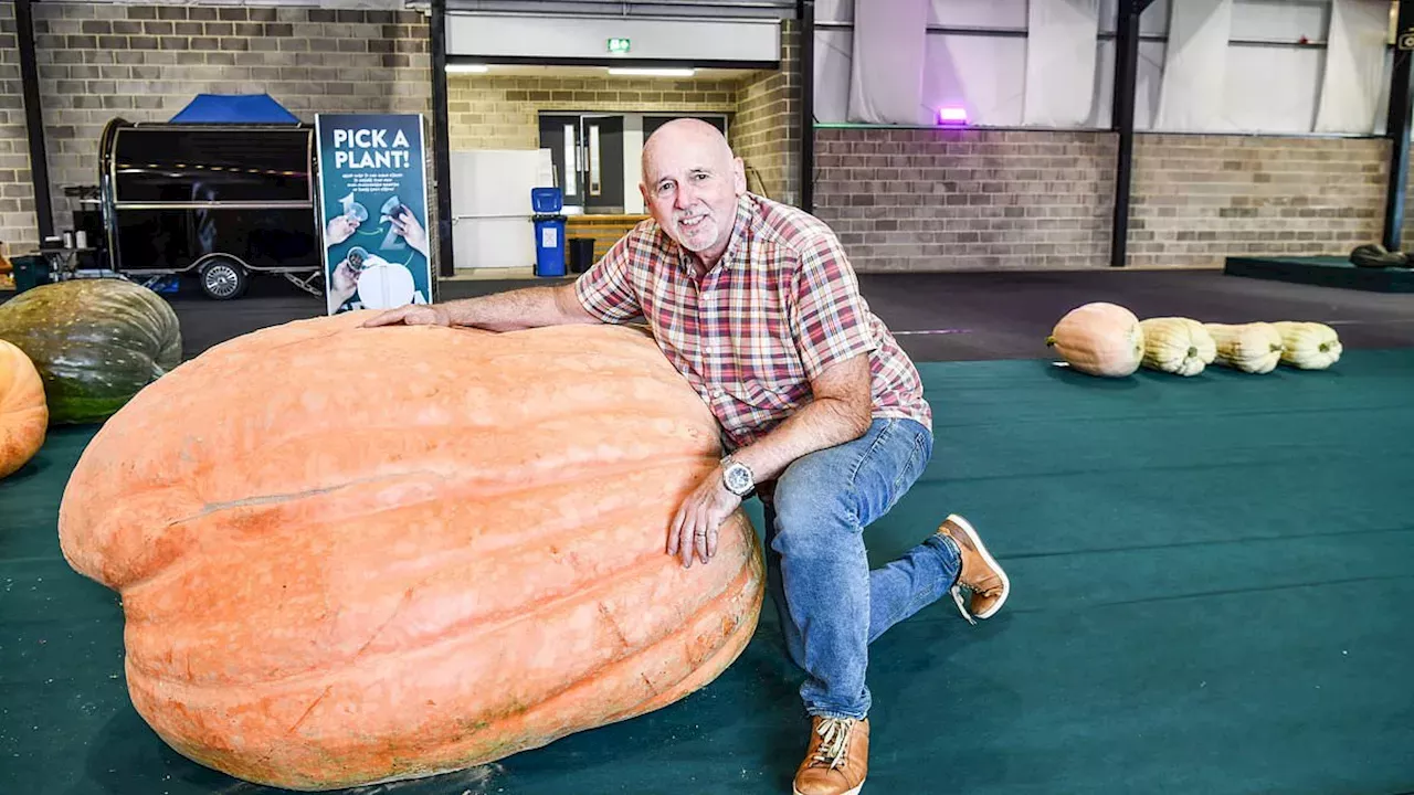 Malvern's Massive Harvest: Record-Breaking Pumpkins and the Battle for Giant Veg Glory