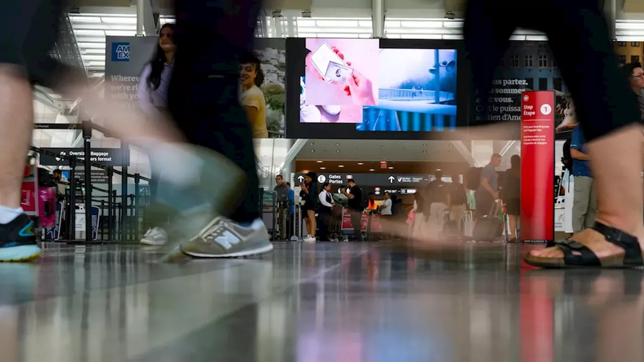 95kg Cannabis Bust at Pearson: A Growing Crackdown on Airport Smuggling