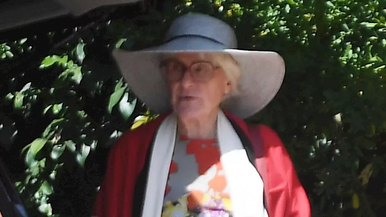 The Quiet Retirement of Susan Clark: A Rare Glimpse of a Hollywood Veteran