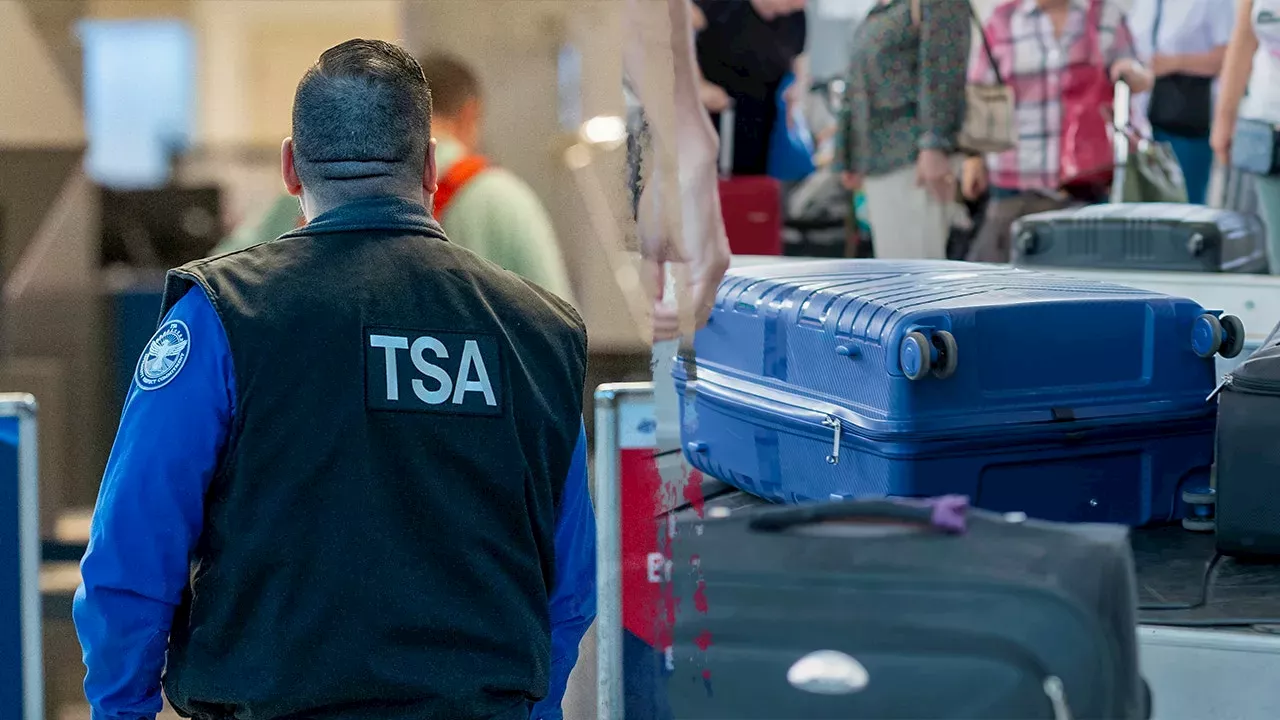 Gaming Console Leads to Arrest: Fake IDs Seized at LaGuardia