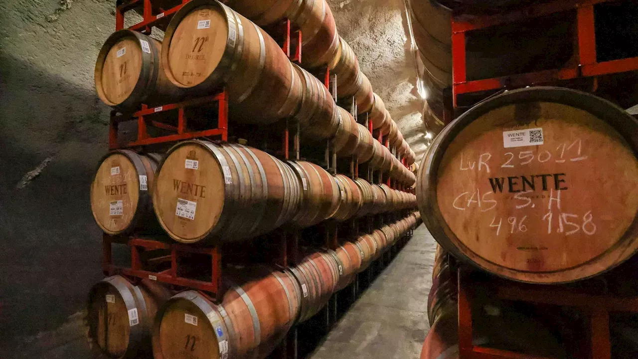 Wente Vineyards Reclaims Its 140-Year Legacy via Livermore Cave Reopenings