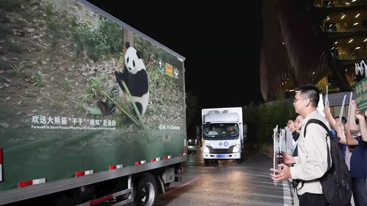 Atlanta’s New Pandas: Soft Power or Fragile Diplomacy?