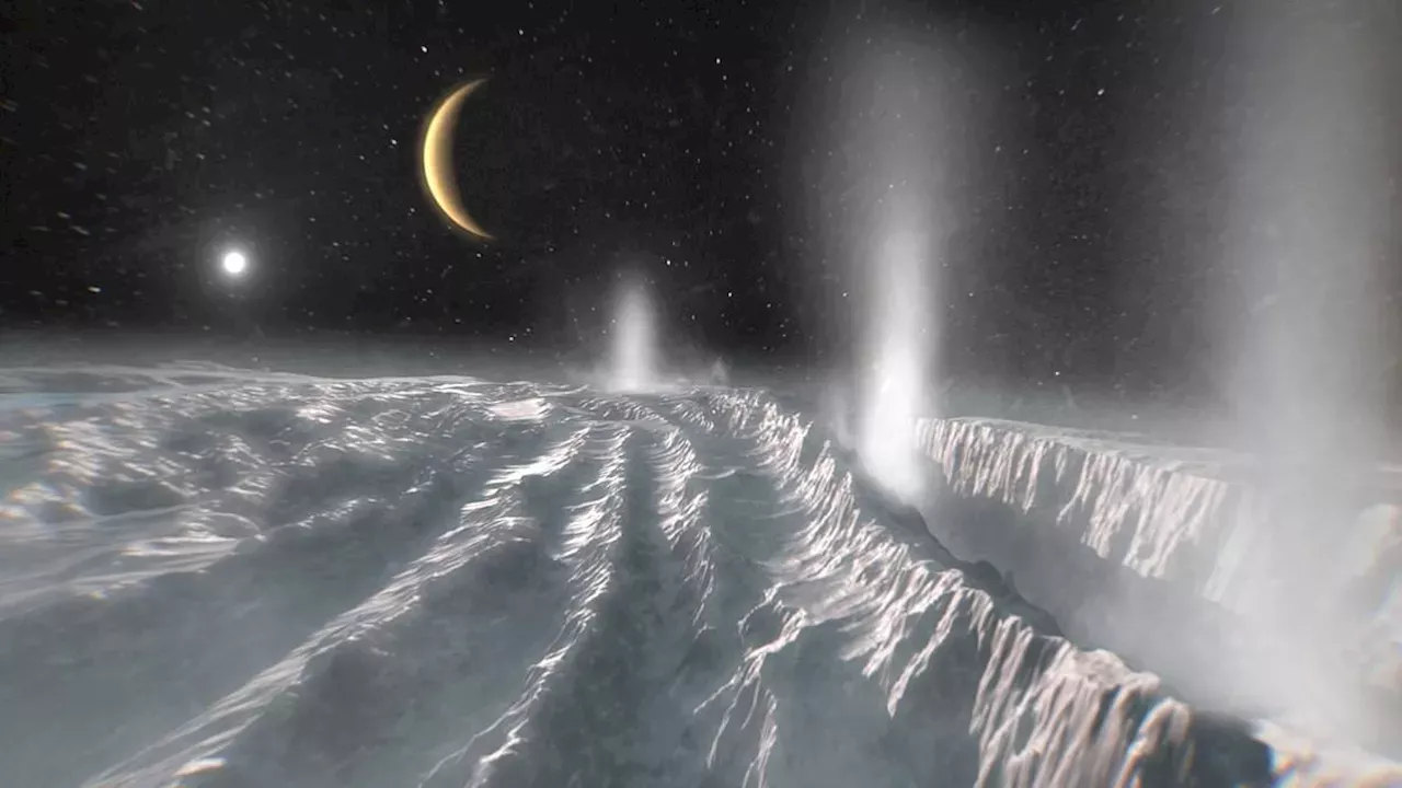 Enceladus Ocean Life Possible, Bacteria Study Shows