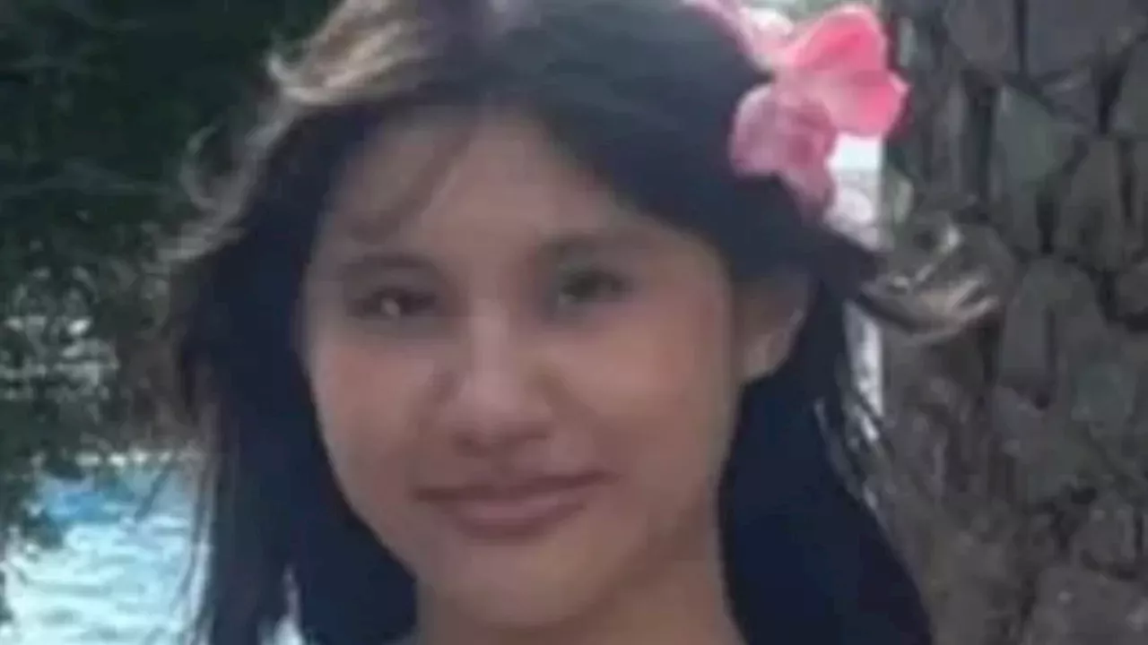 The North Road Tragedy: Investigating the Fatal Addison Lee Collision in Highgate