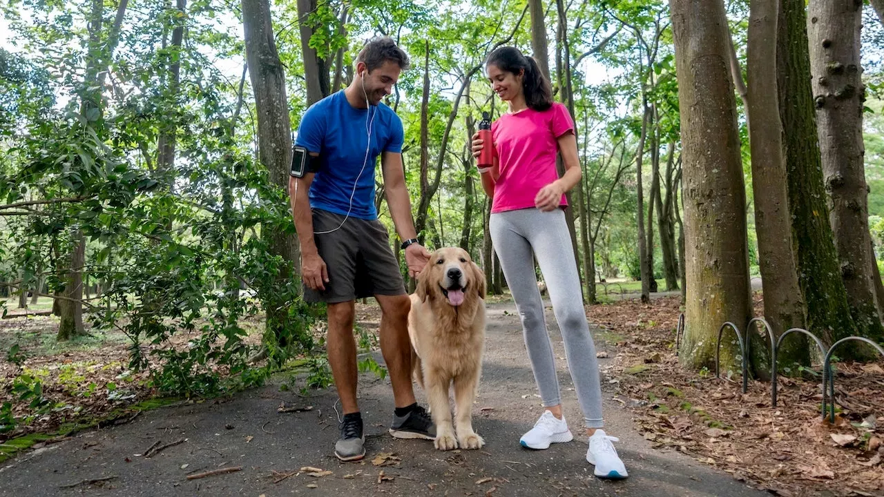 The Leash-Driven Longevity Boost: Can a Dog Extend Your Life?
