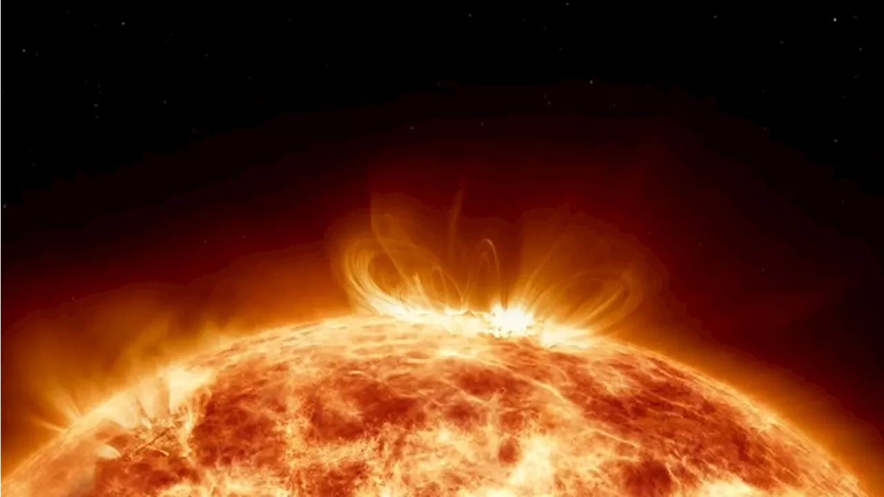 Tree Rings Reveal Four Grand Solar Minima and Four Potential Miyake Events, Study Finds