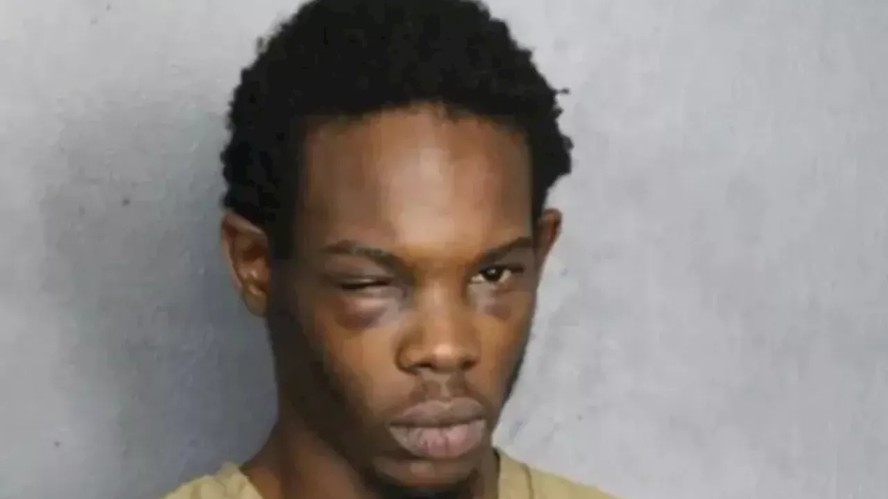 Airbnb Renter Shoots Teenage Robber in Fort Lauderdale Self-Defense Case