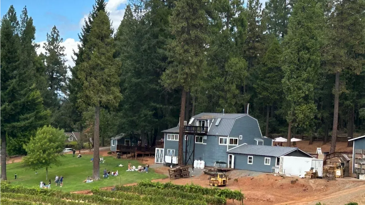 From Pear Blight to Agritourism Powerhouse: The Evolution of El Dorado County’s Apple Hill