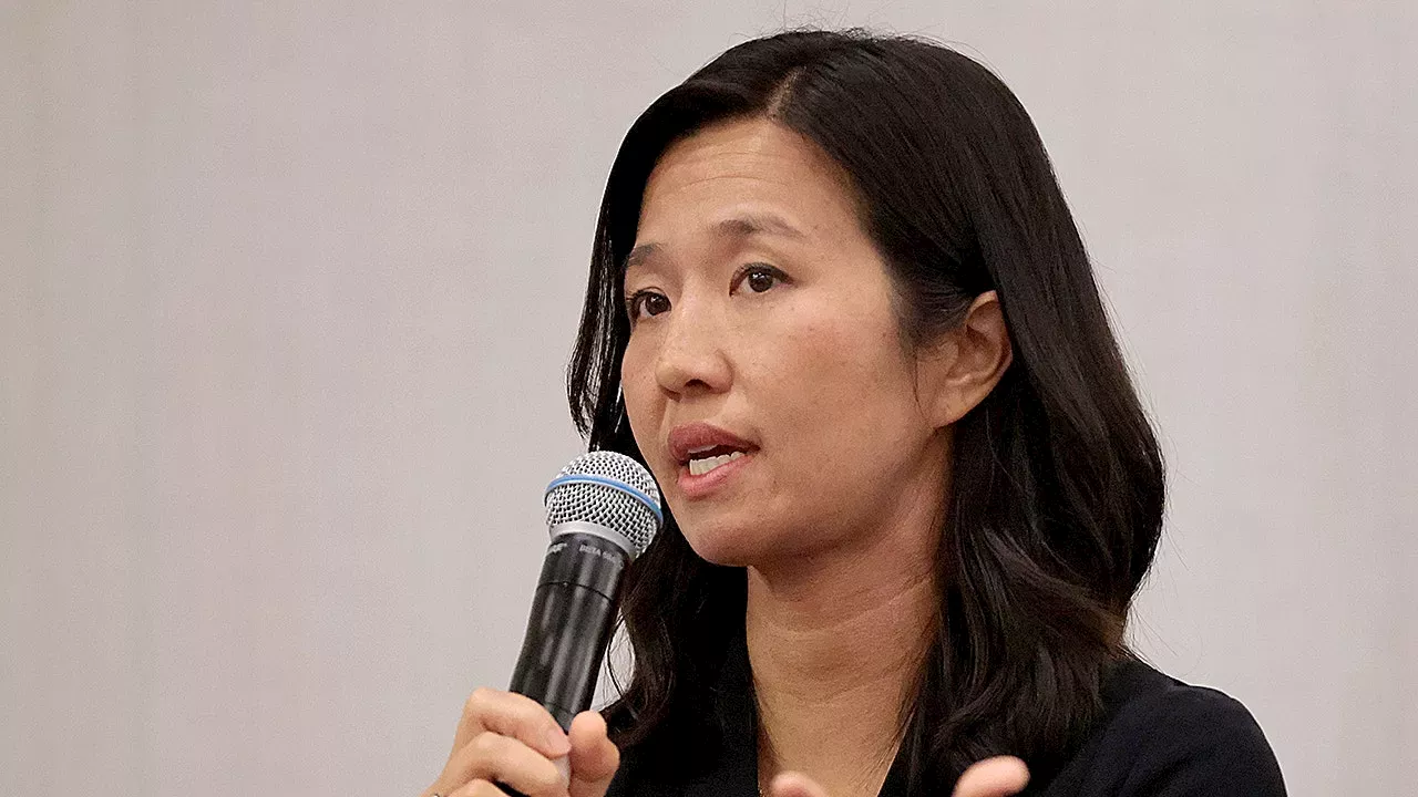 Boston immigrant activist program funded by taxpayers limits participation to immigrants