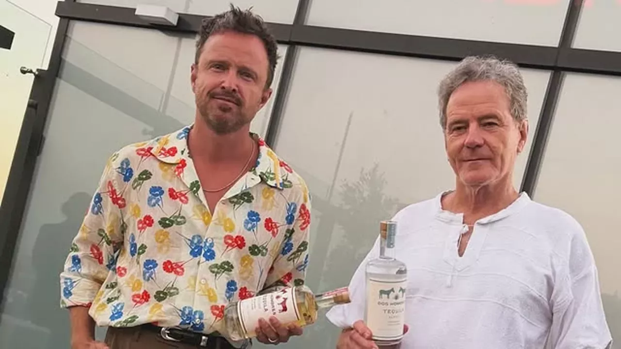 From Meth Empires to Mezcal: The Evolution of Cranston and Paul's Dos Hombres