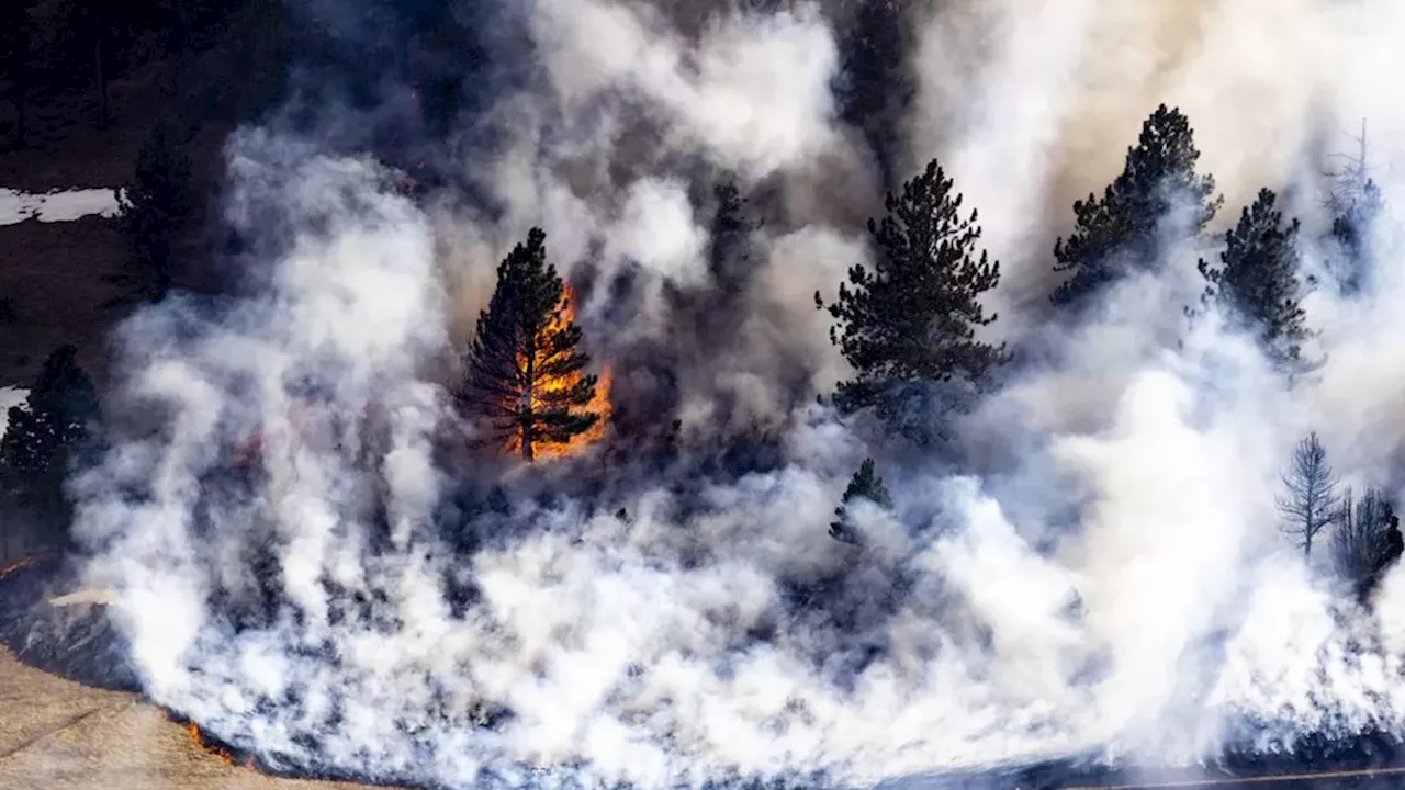 Insurers Shield Big Oil in Landmark Boulder Climate Deception Battle