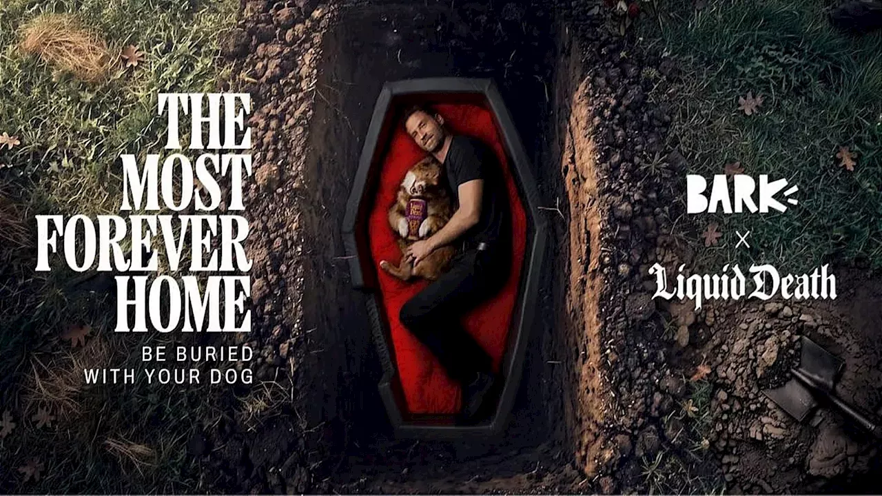 Liquid Death and BARK's Coffin Bed: A Masterclass in Shock Marketing