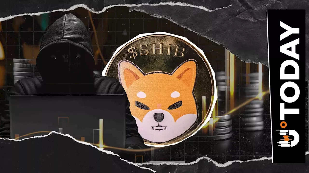 Shiba Inu Nears 2026 Golden Cross Amid Kusama’s 137-Day Silence