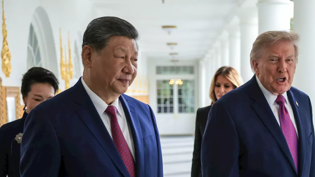 Panda Diplomacy Returns: Ping Ping and Fu Shuang Head to Zoo Atlanta
