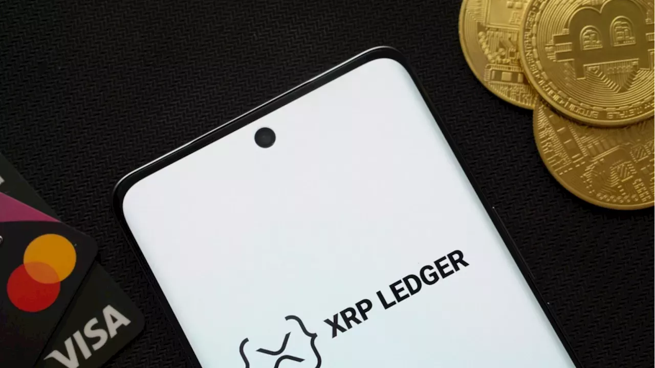 XRP Ledger's Activity Paradox: Account Surge Meets User Decline
