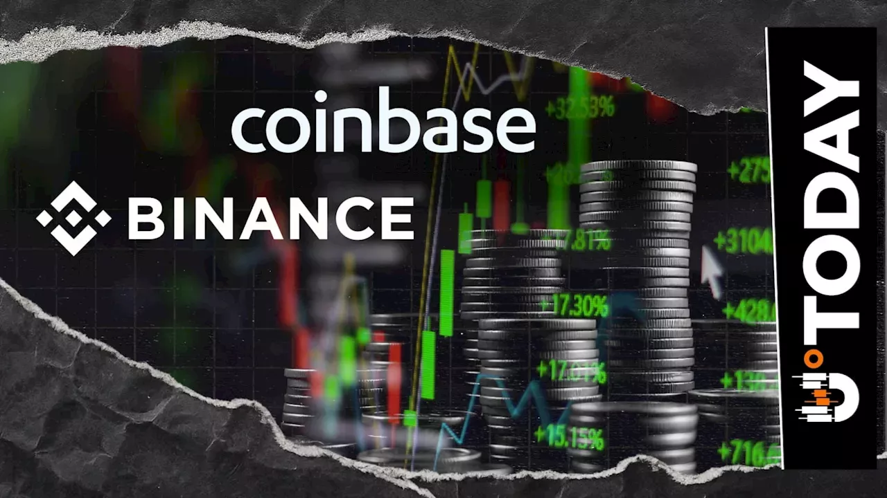 Binance Suspends Base Network Deposits and Withdrawals for Cobalt Upgrade