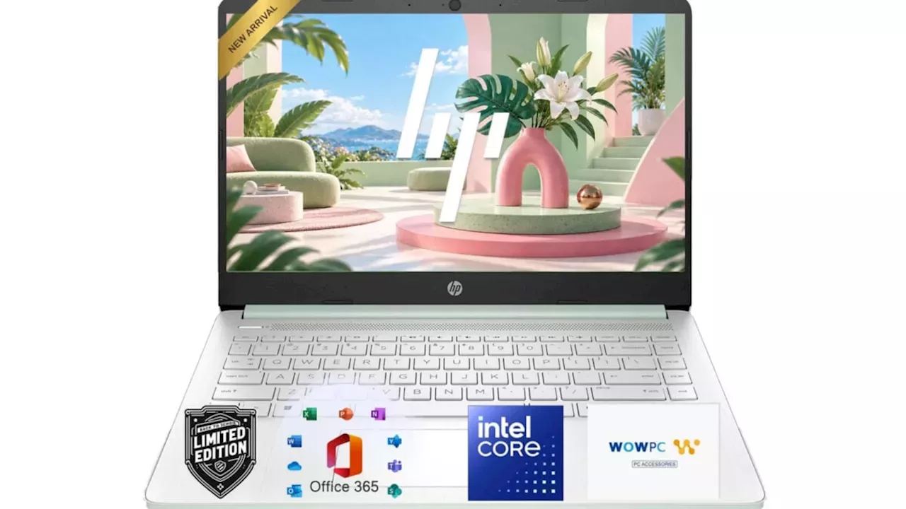 Is the $300 HP Essential Laptop a Prime Day Steal or a Budget Trap?