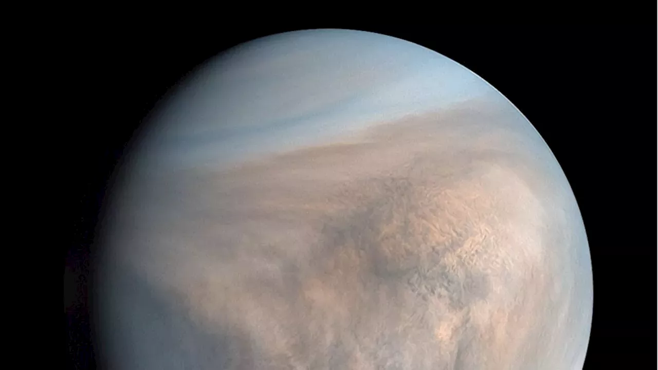 MIT Lab Tests Show Peptides Stay Stable in 98% Sulfuric Acid, Boosting Venus Cloud Life Hypothesis