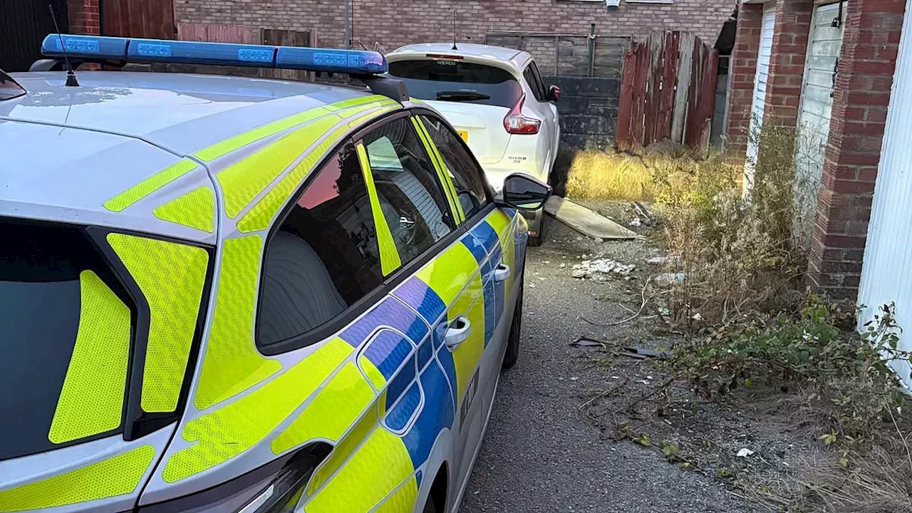 The Caerphilly Juke Spree: 13 Nissan Vehicles Stolen in 24 Hours