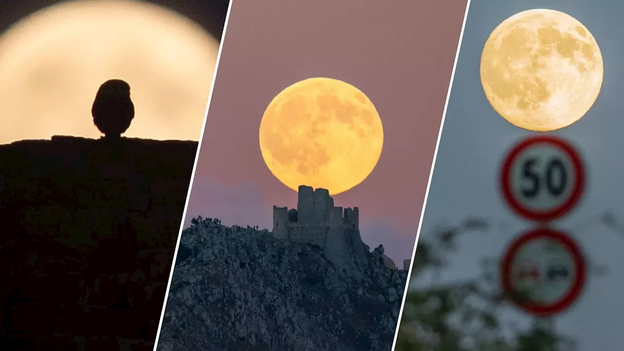 Global Perspectives: Capturing the 2026 Harvest Moon's Celestial Glow