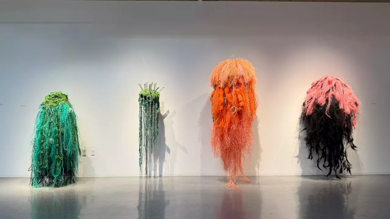 Denver’s "Sequesterings" Exhibit: Turning Post-Industrial Plastic into Fine Art