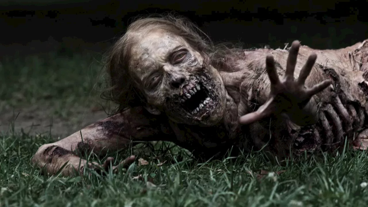 The Human Heart of the Apocalypse: Why Character Drives the Zombie Boom