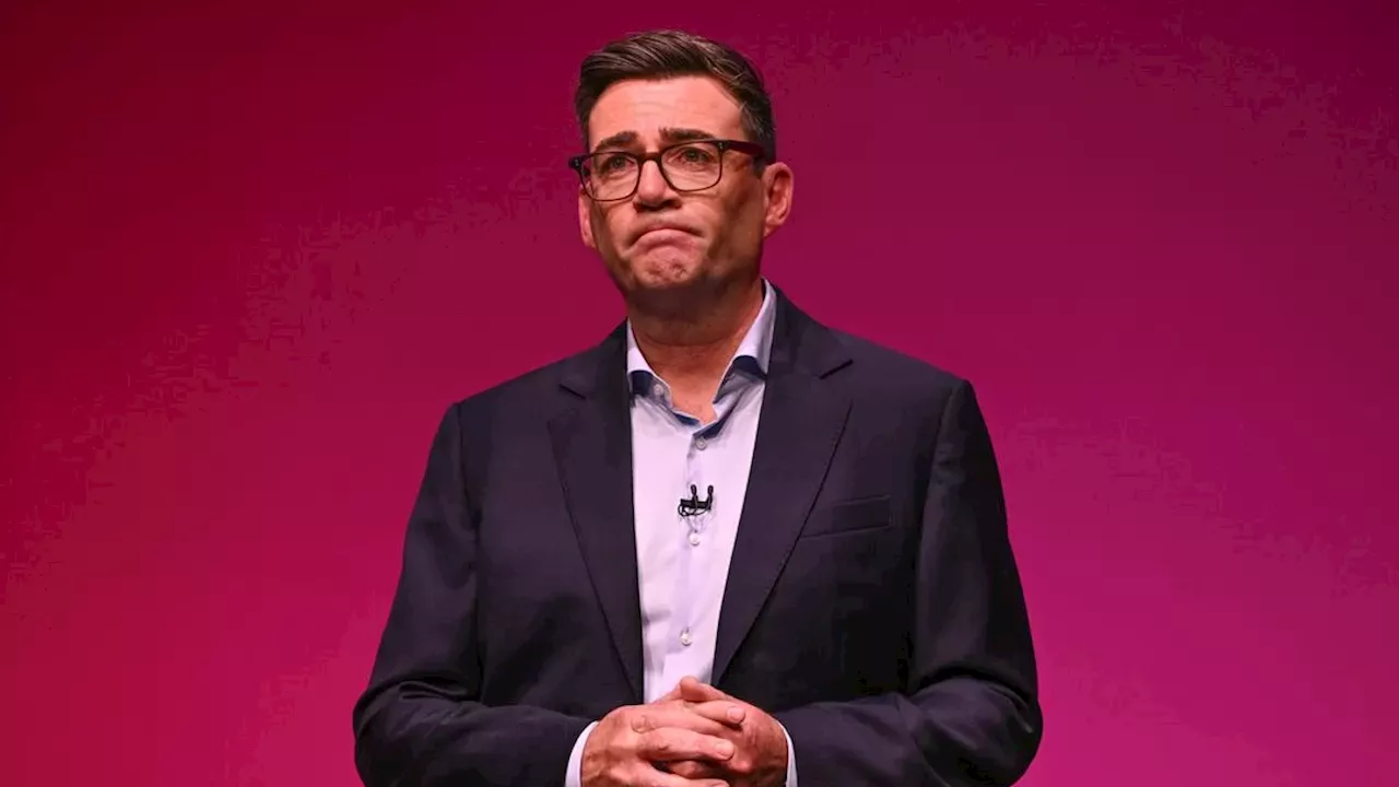 British PM Andy Burnham says he wants Britain to rejoin the EU 'in my lifetime'