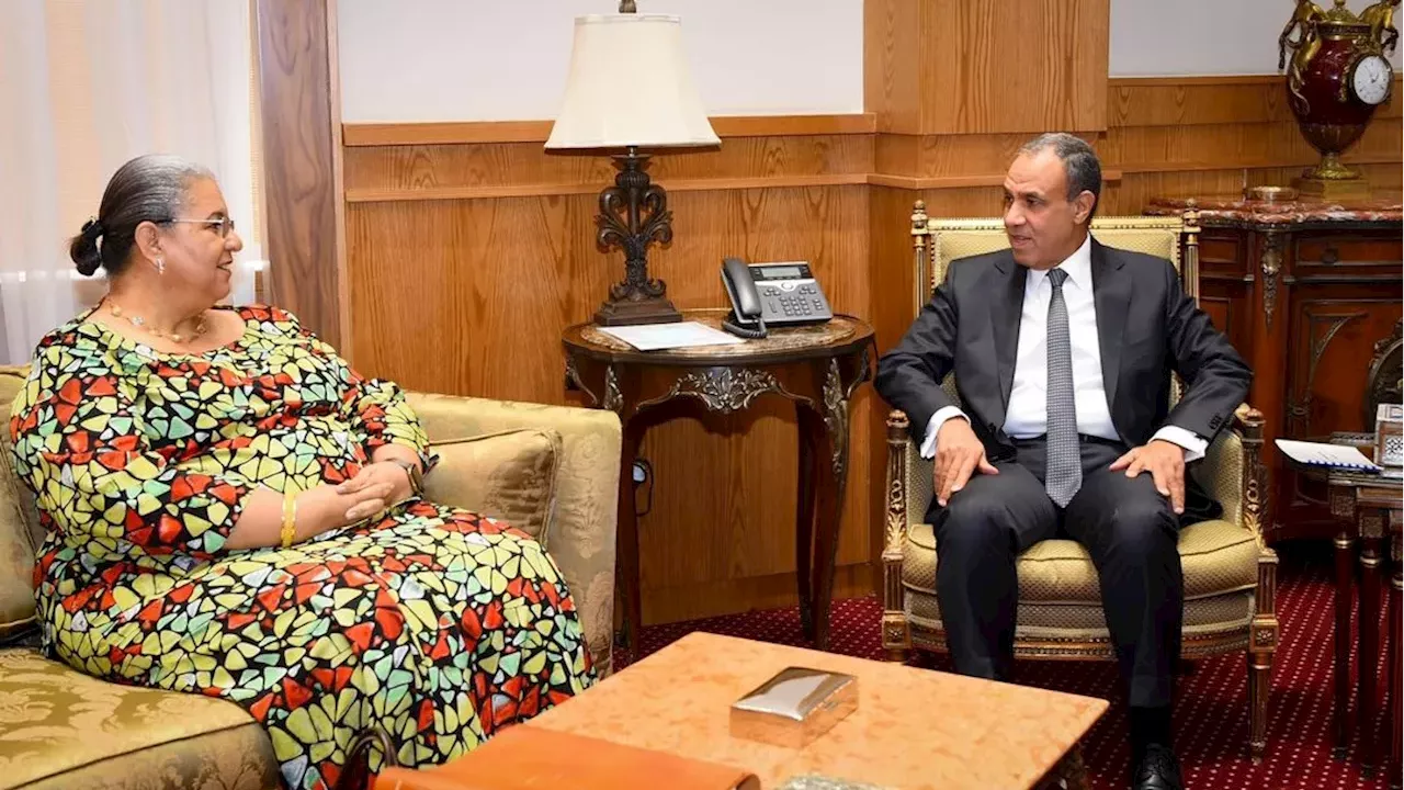 Egypt backs UN efforts for Libyan political settlement