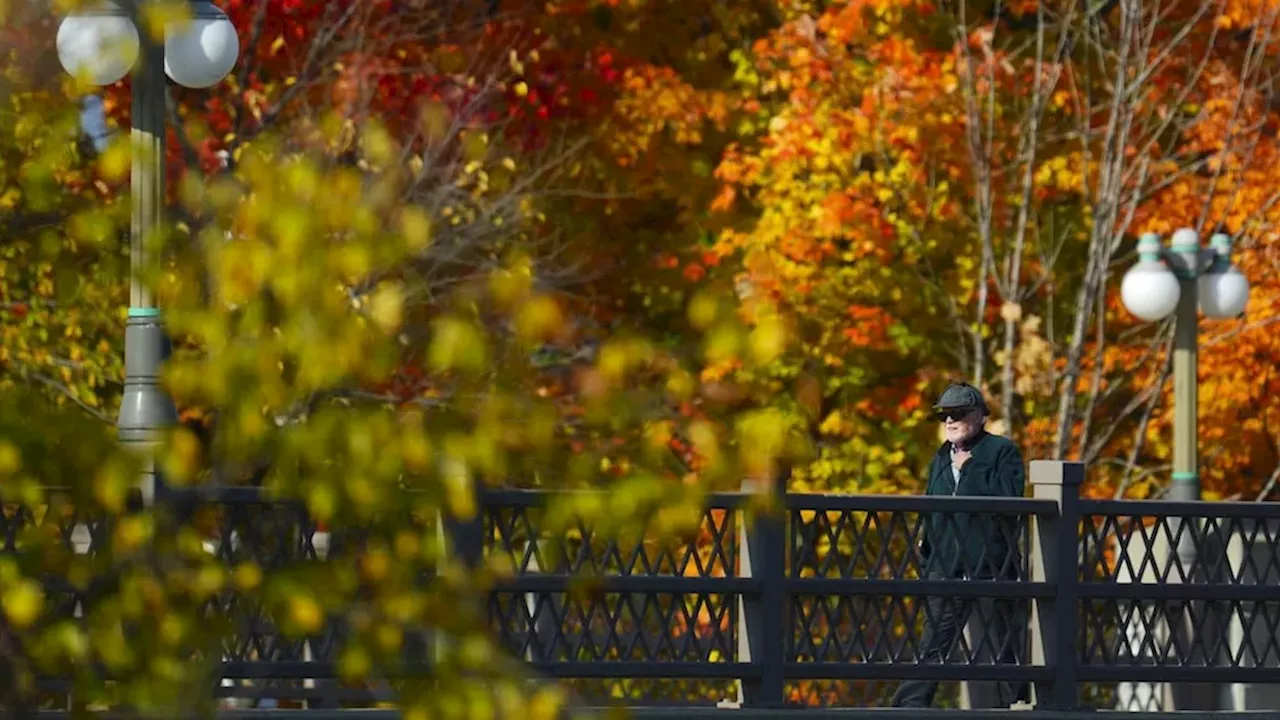 Ontario's Super El Nino: Why the Fall Color Delay is a Test of Patience