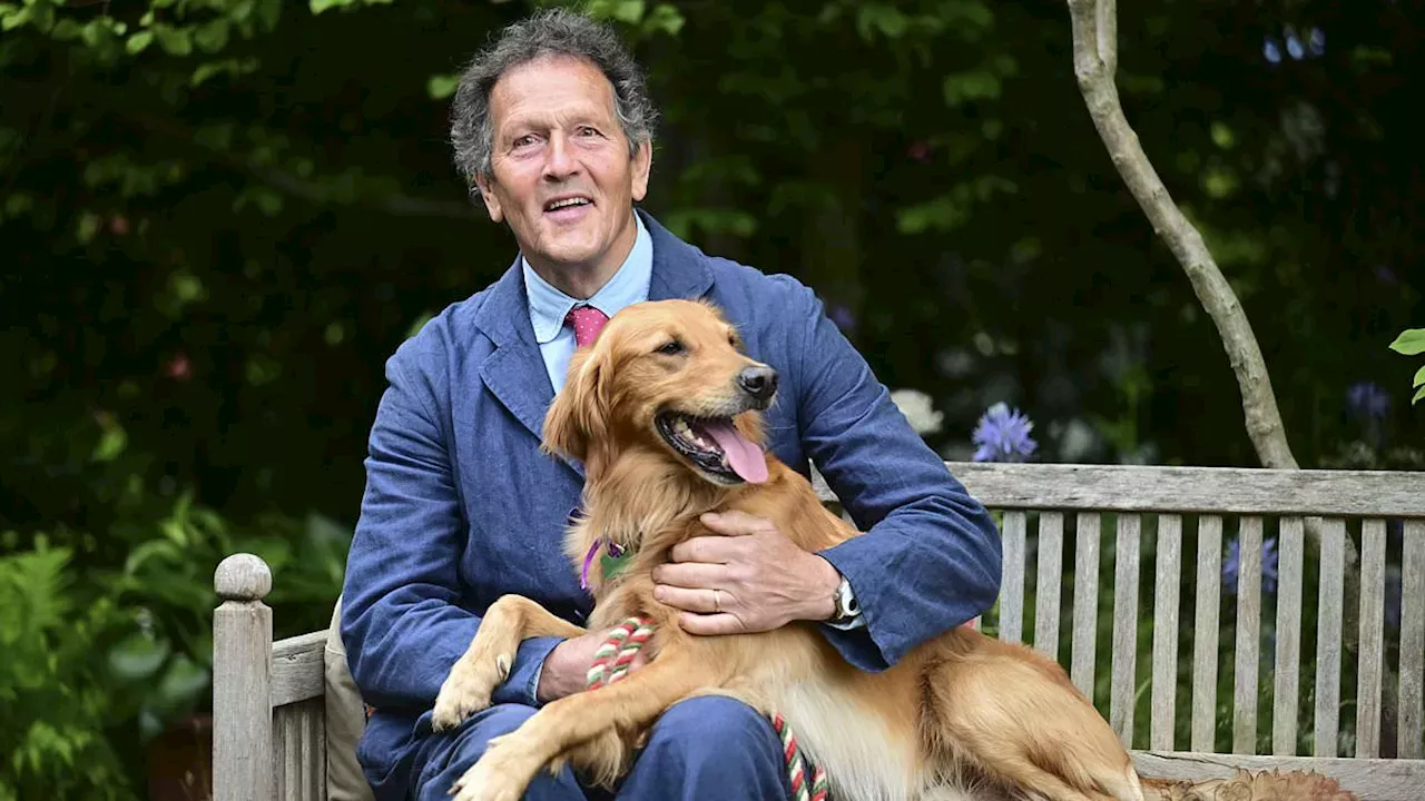 Politics, Class, and the Labrador: Why a Minister's Remark Stung