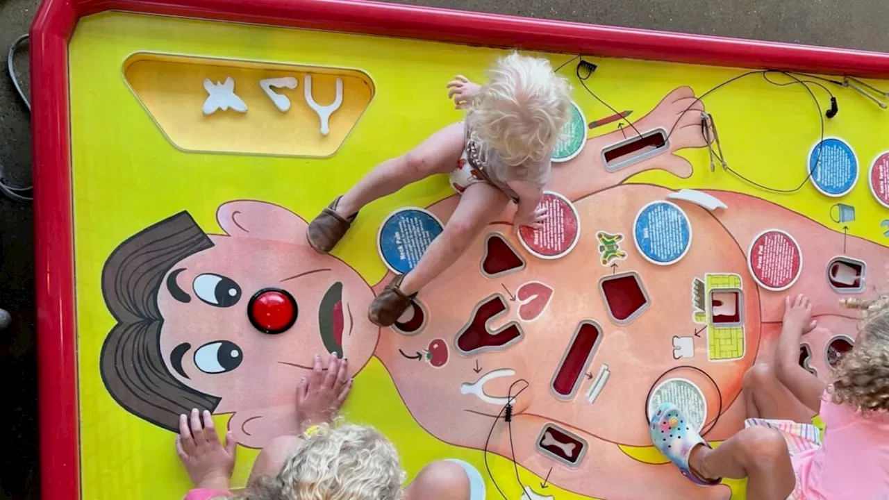 The Biological Reset: How Harvard Research Could End the Heart Donor Age Gap