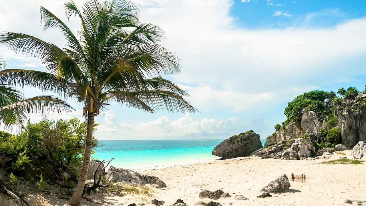 Riviera Maya Travel Guide: Playa del Carmen Culture, Cenotes and Cuisine