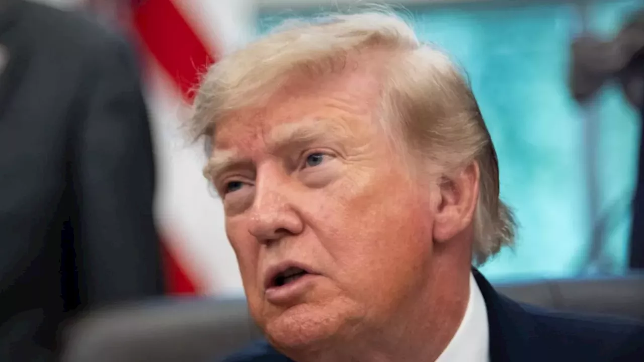 U.S. trade court hears challenge to Trump forced labour tariffs on 60 trading partners